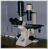 Inverted Microscope